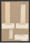 Pleurosigma wansbeckii Donk. (de-Toni-Nr.: Genus 13, Species 1069) Zeichnungen Sammlung Grunow Nr. 1932 (NHMW-BOT-W0369064)